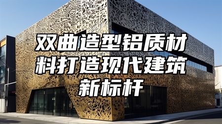 双曲造型铝质材料打造现代建筑新标杆