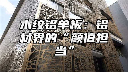 木纹铝单板：铝材界的“颜值担当”