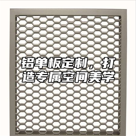 铝单板定制，打造专属空间美学
