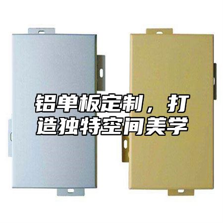 铝单板定制，打造独特空间美学