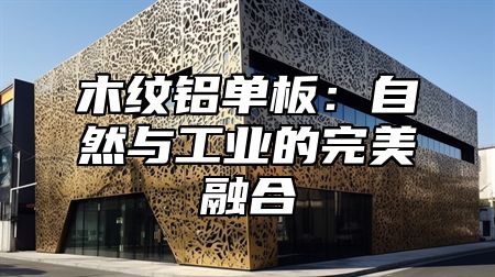 木纹铝单板：自然与工业的完美融合
