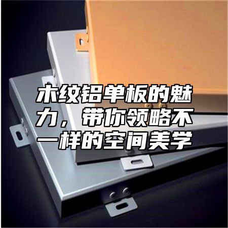 木纹铝单板的魅力，带你领略不一样的空间美学