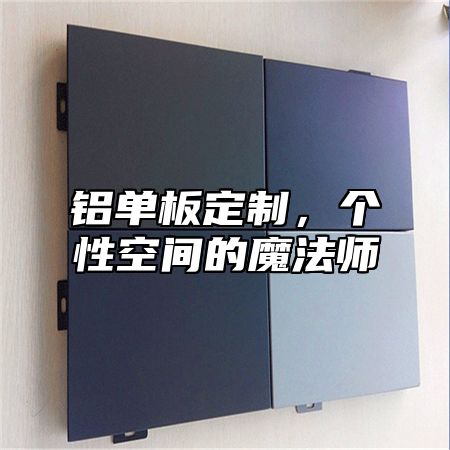 铝单板定制，个性空间的魔法师