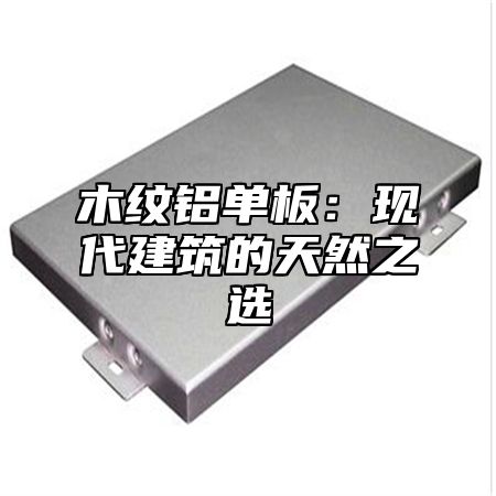 木纹铝单板：现代建筑的天然之选
